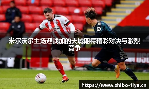 智博体育