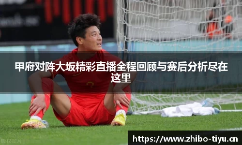 智博体育